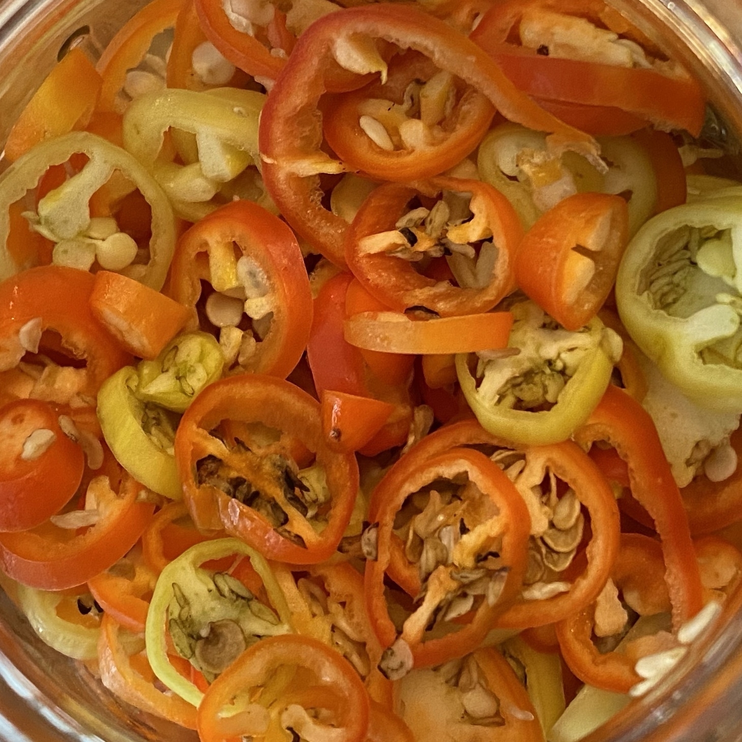 a close up of santa fe peppers, in a jar.