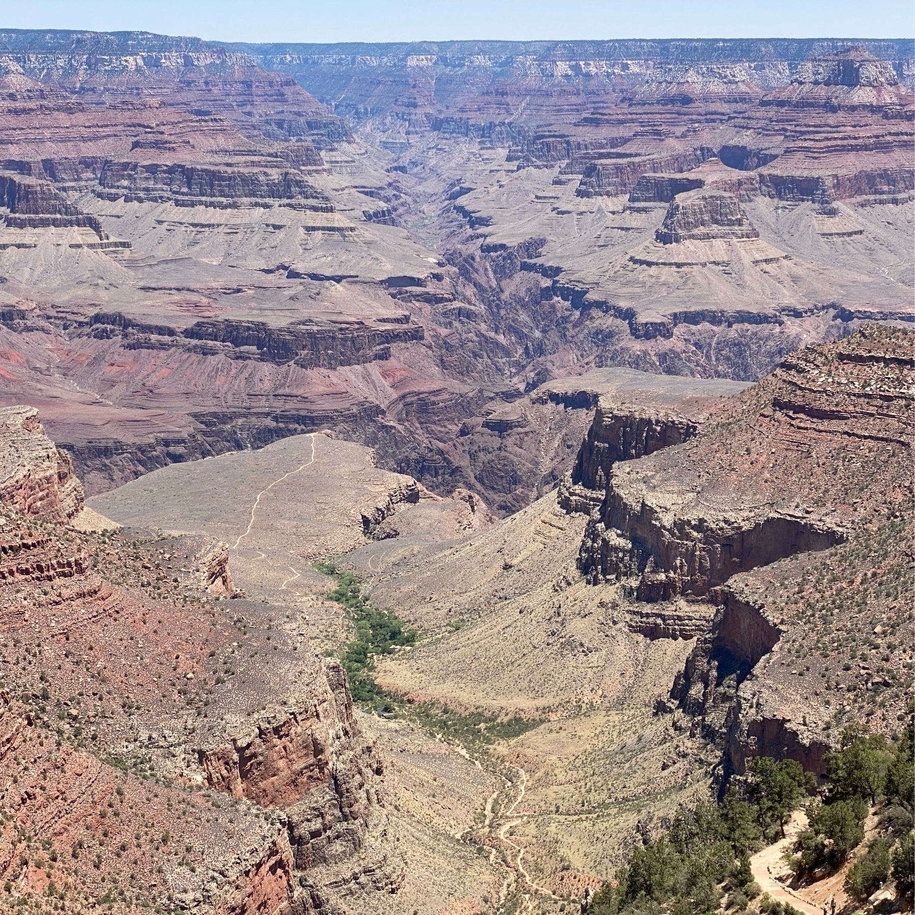 look into the Grand Canyon from the bright angel trail