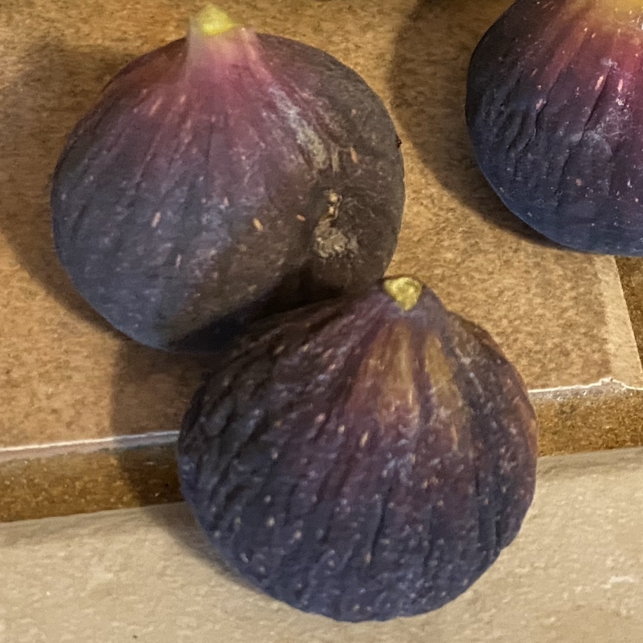 ripe figs