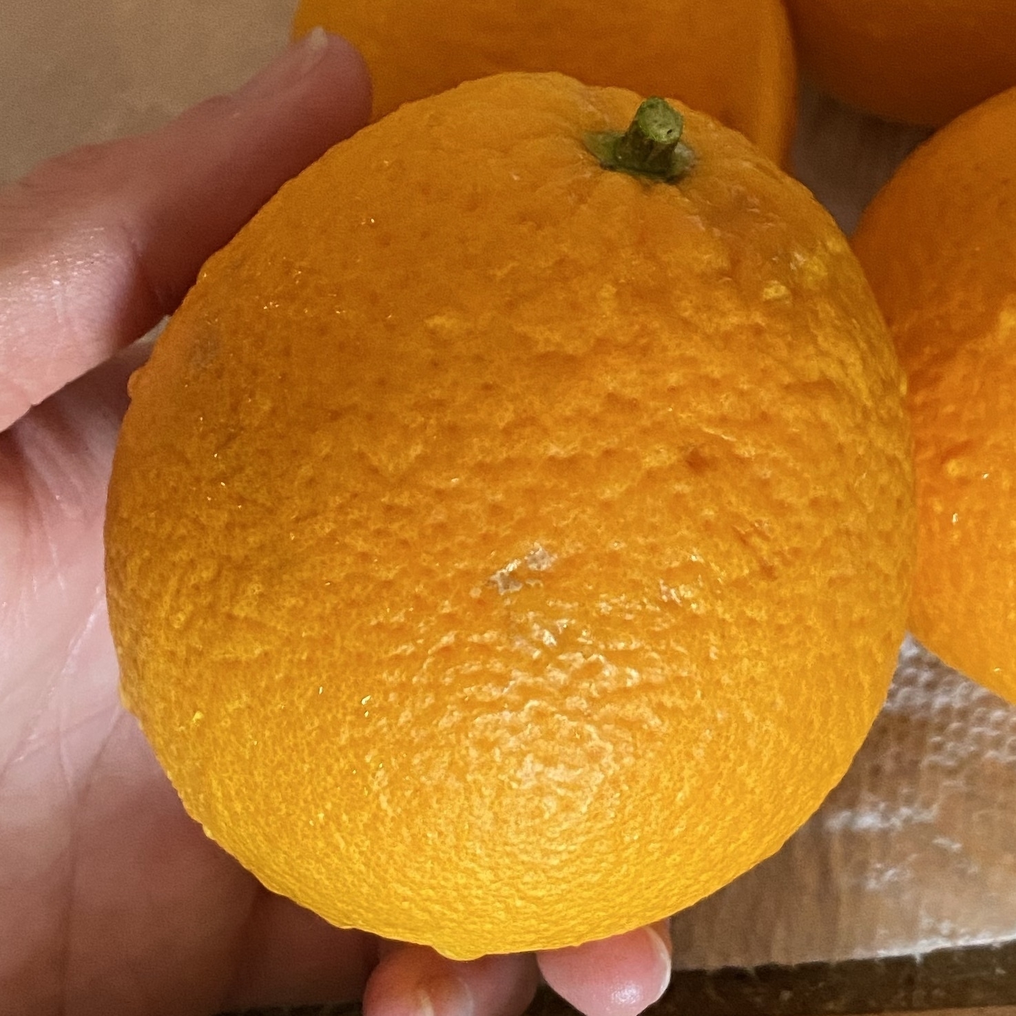 valencia orange in a hand