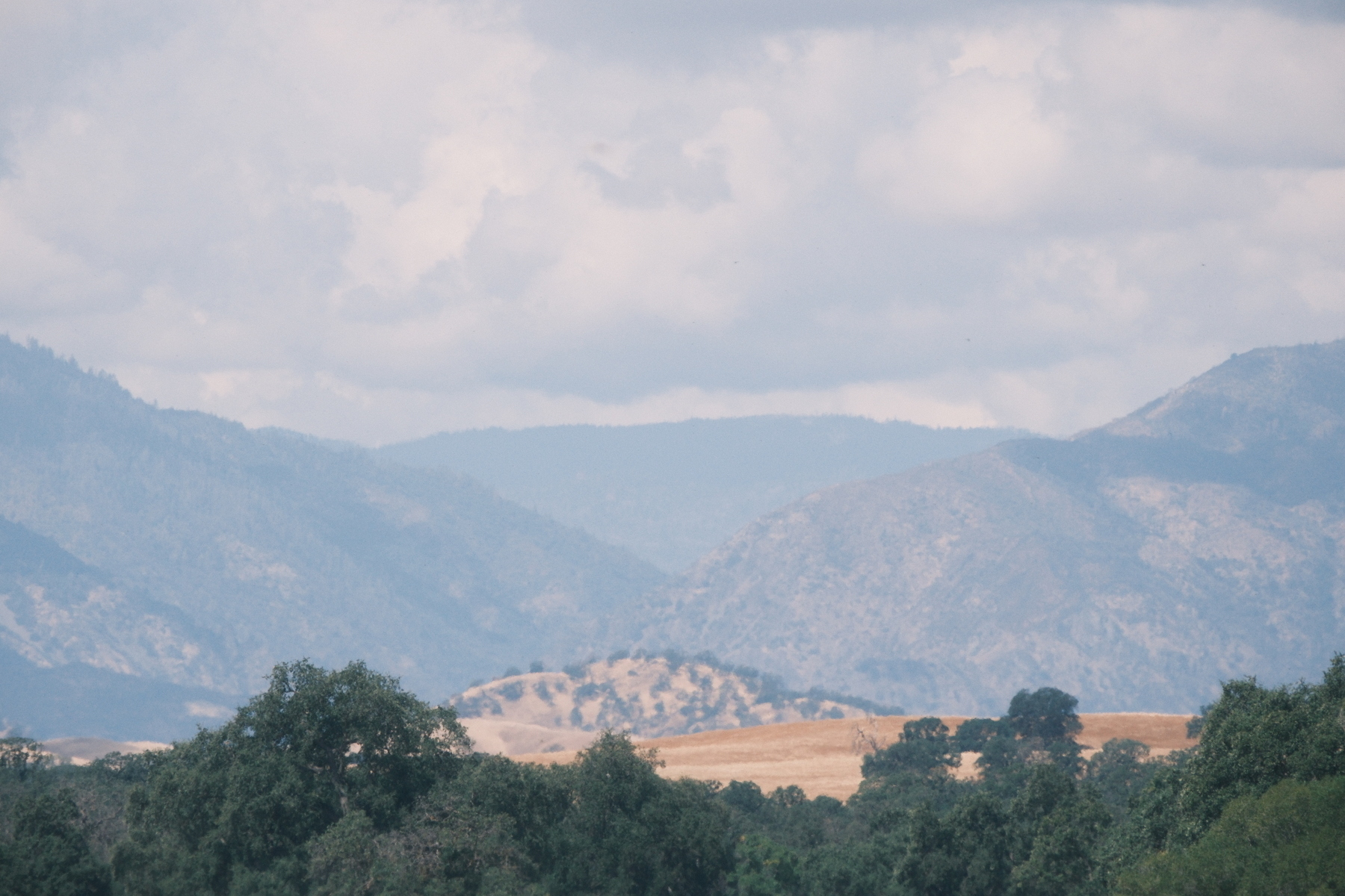 A long view to the Northern California Coast range. It's a hazy and overcast day. Oaks and rolling golden hills are in front of some rugged mountains.