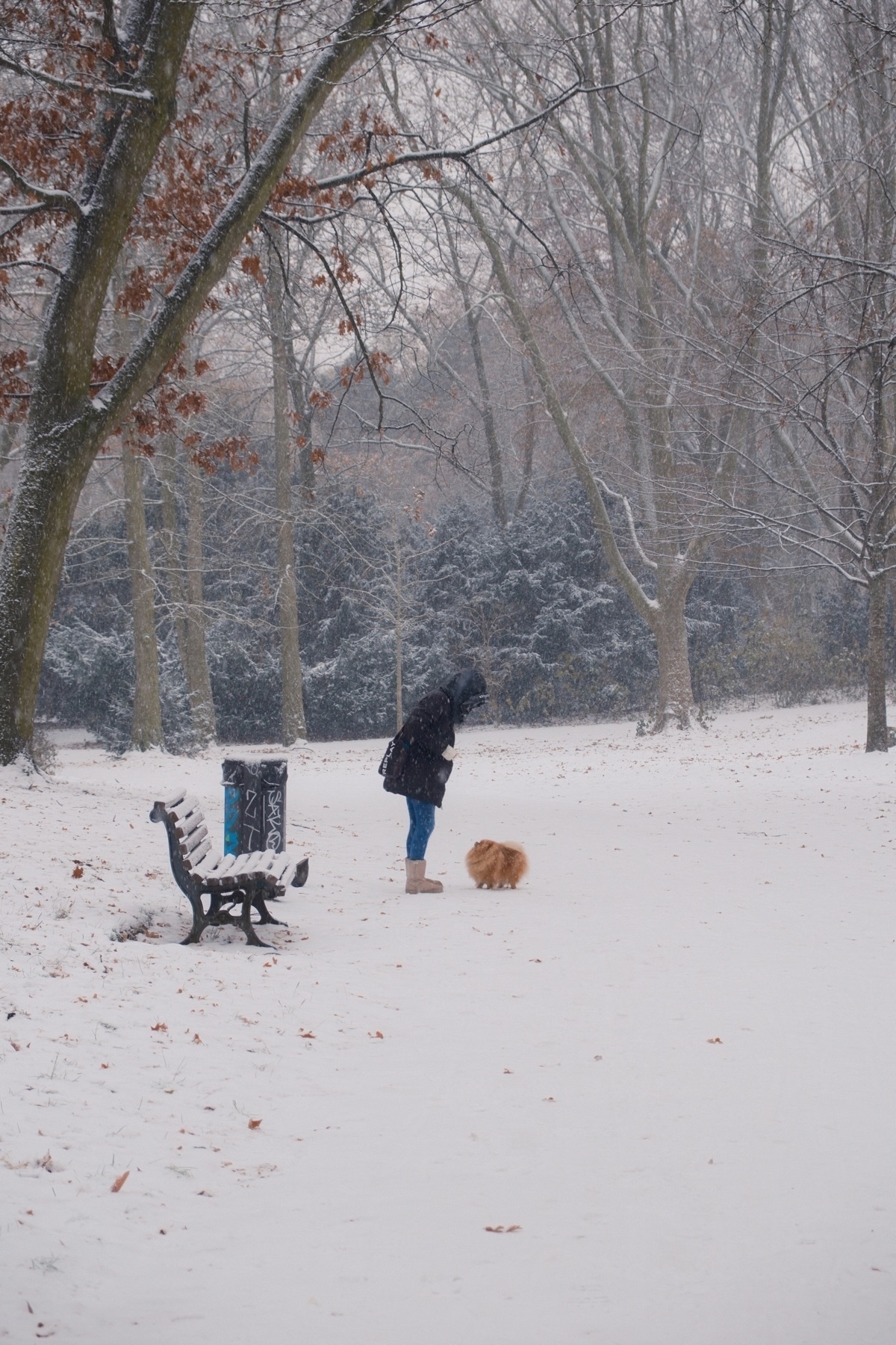 A person bundled in winter clothing and a small dog patiently looking up to that person on a snow-covered path in a park with trees, a bench, and a trash can covered in grafiti. It is snowing.