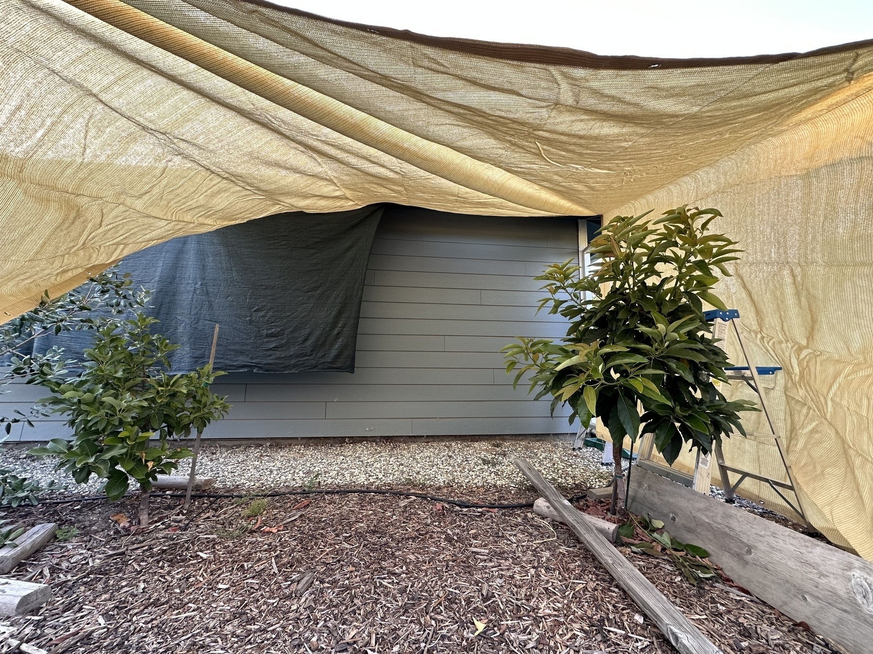 Tan shade cloth draped over a side yard with broad leaf trees. A house’s siding can be seen.