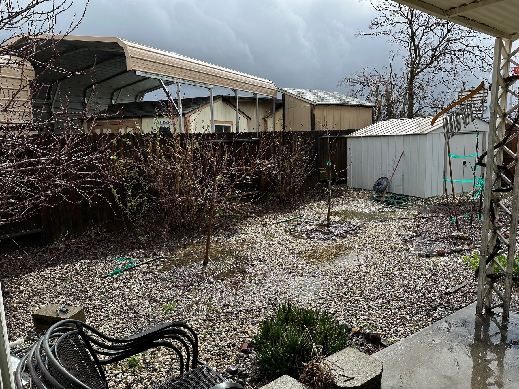 A backyard with gravel ground cover, leafless shrubs, a few young trees, and a metal garden shed. In the background, there’s a house with a carport. There is also garden equipment scattered around, heavy clouds above suggesting impending rain. Puddles of rain and roofs are bright as sunshine has broken through the clouds.